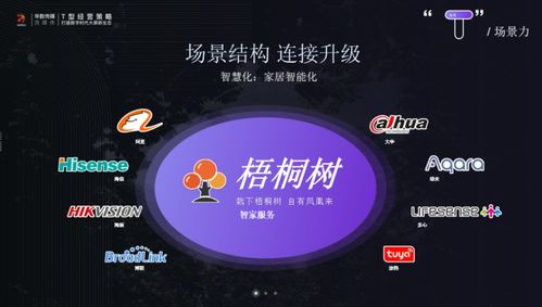 正定論道 華數傳媒蘇松解析T型經營策略，以數字文創內容服務打造大屏新生態